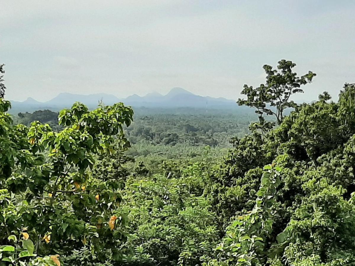 Kande Gedara Resort Monaragala Bagian luar foto