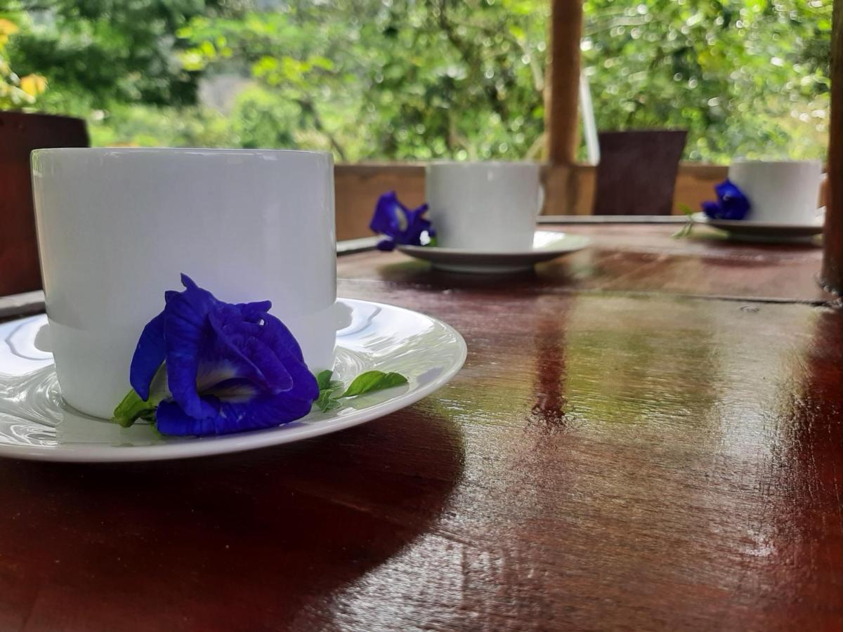 Kande Gedara Resort Monaragala Bagian luar foto